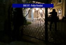 FOTO: Percheziții ample la proxeneți din Gorj, dar și alte șapte județe. Fetele care refuzau, sechestrate și supuse unor violențe extreme, chiar și unor violuri