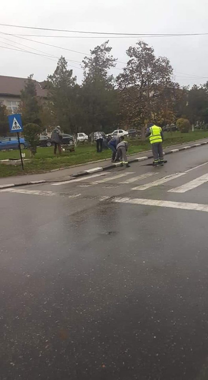 124974184_2145789978891604_4147359479009112462_n