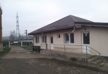 Campanie împotriva câinilor fără stăpân la Motru