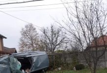 FOTO: S-a răsturnat cu mașina, după ce a lovit un cal, două persoane, la spital