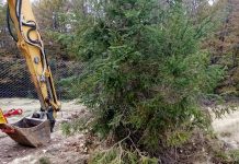 Control al Gărzii de Mediu, la Novaci! O obște, vizată!