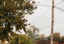 Colectare selectivă a deșeurilor în alte 2 localități din Gorj