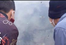 Vietnamezi pasionați de melcii din Jiu