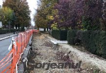 Romanescu, felicitat de italienii care au făcut groapa de pe Calea Eroilor!