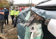 La spital, după ce au lovit un cal cu mașina!