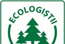 Și PER vrea amânarea alegerilor