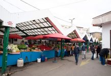 Lege promovată de PNL. 20.000 de euro pentru micii fermieri