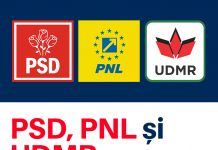 „Fără penali” nu a mai intrat la vot. USR Gorj: Este o sfidare!