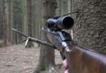 Dosar penal pentru doi gorjeni, acuzați de braconaj cinegetic