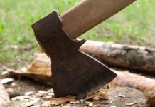 Bărbat prins de polițiști, în timp ce tăia lemne din pădurea socrului. DECIZIA oamenilor legii!