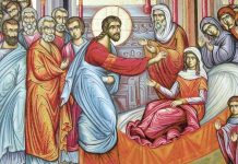 Lumina, şi Adevărul, şi Viaţa – Dumnezeu ne arată că este Stăpânul sufletelor, dar şi al trupurilor, Stăpânul vieţii, dar şi al morţii, fiindcă omul a fost creat pentru a trăi veşnic în Împărăţia Cerurilor!