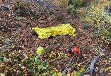 Tragedie! Un bărbat a murit strivit de un lemn la locul de muncă