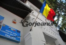 Post vacant de consilier pe achiziții publice, la Primăria Baia de Fier
