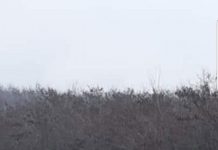 Zeci de saci cu gunoaie, colectați de pe Bujorăscu și din localitățile aparținătoare Motrului