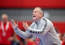 Soarta lui Burcea, decisă în ianuarie