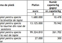 APIA: Au fost aprobate cuantumurile pentru sprijinul cuplat în sectorul zootehnic!
