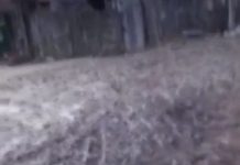 VIDEO: Cătunul Leurdeasa, comuna Vladimir: Drum ca în Evul Mediu, plin de bălți și noroi