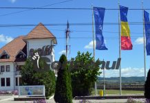 Posturi vacante de auditor, la Primăria Turceni