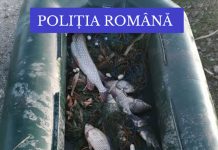 Cercetați după ce au fost prinși cu barca la pescuit. Bărbații au fugit de oamenii legii