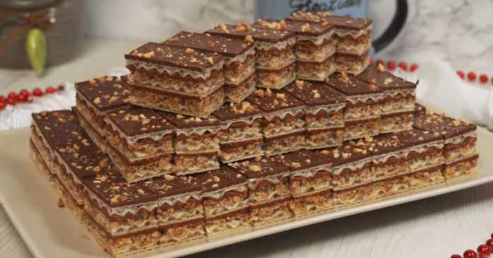 138508499_1286106321787938_6368709238287422216_n