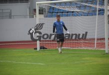 Aldescu, din nou sub tricolor