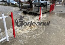 Potop la Padeș! Peste 100 l/mp!