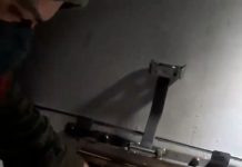 VIDEO: Populare cu o tonă de crap și caras pe Jiu, cu două săptămâni înainte de creșterea alarmantă a debitului apei!