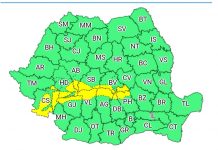 Cod galben de ninsori, la Rânca