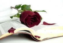 Din prea multă pasiune (II)