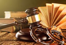 Condamnare pentru „Regele Gândacilor”