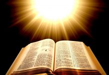 Cuvântul Lui Dumnezeu şi Dumnezeu-Cuvântul! – Pe parcursul anului acesta, vom avea prilejul să înţelegem tema «Ramurii»!