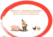 APIA: Termen pentru depunerea deconturilor justificative pe Măsura 14