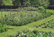 Agricultura pe înțelesul tuturor – Să ne protejăm ecologic grădina, casa