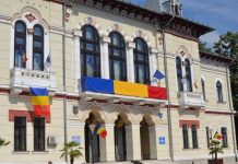 Guvernul a decis: Prefecții și subprefecții pot fi membri de partid