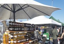 Fără târg apicol la Polovragi