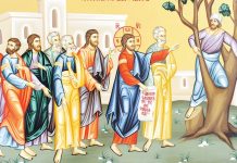 Calea, Lumina, Adevărul şi Viaţa! – Dumnezeu ne iubeşte nespus de mult, pentru că ne îndeamnă să-L întâmpinăm cu credinţă şi să urcăm şi noi în «sicomorul» căinţei şi al îndreptării!