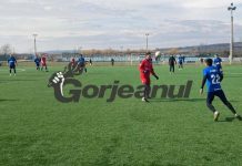 Pleașcă, aproape de Pandurii