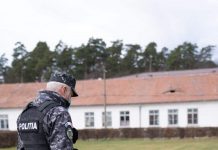 Câini antrenați pentru detectarea persoanelor infectate cu Covid-19