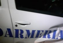 Audiere de râsu’-plânsu’, la Poliție, a mecanicului implicat în accidentul cu mașina Jandarmeriei! Salariatul CEO, pus la dictare