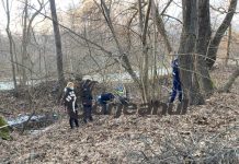 Anchetă pentru câini morți la Stroiești!