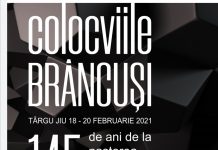 Începe o nouă ediție a Colocviilor Brâncuși!