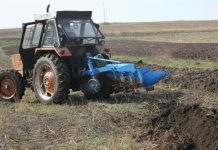 Agricultura pe înțelesul tuturor – Graficul lucrărilor agricole în luna februarie