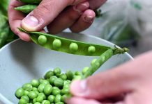 EURES: Sute de joburi în afara țării, la dispoziția gorjenilor