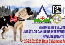 Echipaj al Salvamont Gorj, la Sesiunea de Evaluare a Unităților Canine de Intervenție în Avalanșă