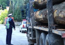 Transport de material lemnos reclamat, verificat de polițiști