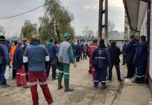 Scrisoare deschisă către parlamentarii de Gorj. „Opriți genocidul social”