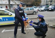 Noile prevederi legale în domeniul protecției animalelor, făcute publice de polițiști. Faptele care constituie contravenții și cu cât se sancționează!