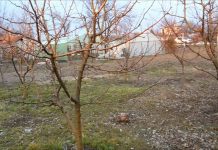 Să ne protejăm ecologic grădina, casa – 6 – Materiale ecologice, homeopate