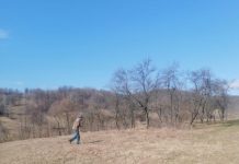 Localnic din Berlești, fugărit cu securea de vecinul certat cu legea! Poliția, IMPASIBILĂ