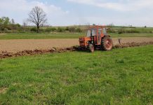 Agricultura pe înțelesul tuturor – Graficul lucrărilor agricole în luna martie
